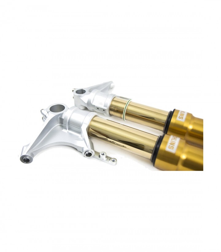 Horquilla Delantera Öhlins Ducati 899 / 959 Panigale (13-20), Panigale V2 / V4 (18-24) FGRT 231