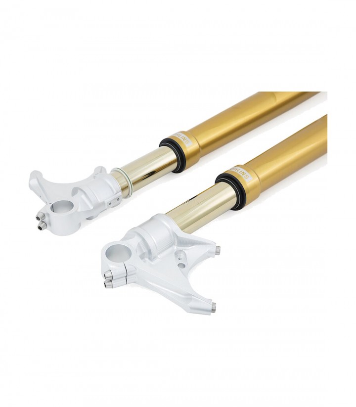Öhlins Front Park Ducati 899 / 959 Panigale (13-20), Panigale V2 / V4 (18-24) FGRT 231