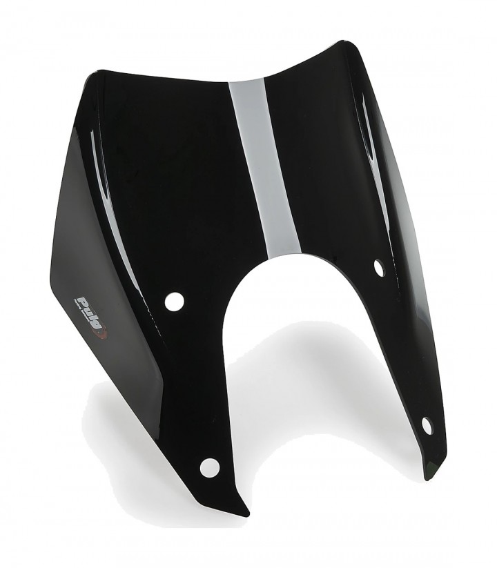 Cúpula Puig Sport Rieju Aventura Rally 307 (25-26) Negro 22997N