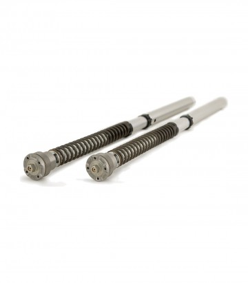 Cartucho Horquilla Öhlins para Suzuki GSX-8R, SV 650 S (24-25) FGK 246