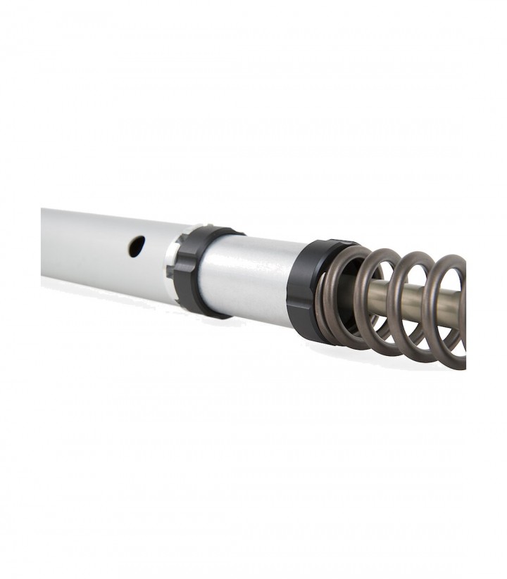 Cartucho Horquilla Öhlins para Suzuki GSX-8R, SV 650 S (24-25) FGK 246