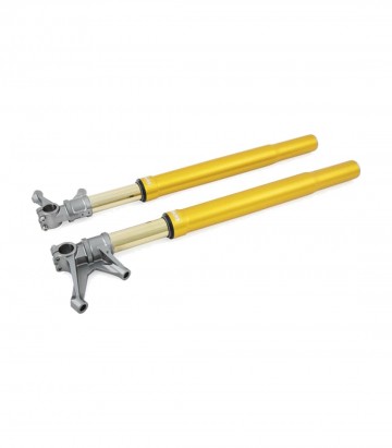 Horquilla Delantera Öhlins Honda CBR1000RR SP (24-25) FGR 250