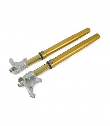 Öhlins Front Park Ducati 1199 / 1299 Panigale (12-18) FGRT 203