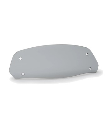 Repuesto Pantalla Puig Visera Nº2 Clip-On Ahumado 6872H