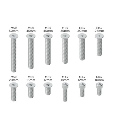 Juego de Tornillos de Recambio Quad Lock V2
