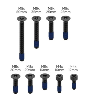 Quad Lock V2 Diebstahlsicherungsschrauben