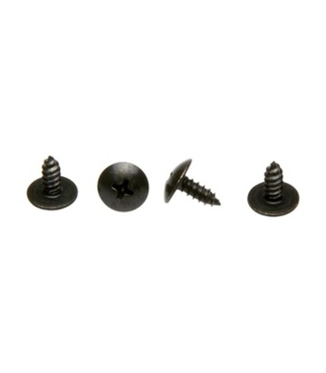 Viti per protezioni Barkbusters EGO, VPS e JET (4 pz)