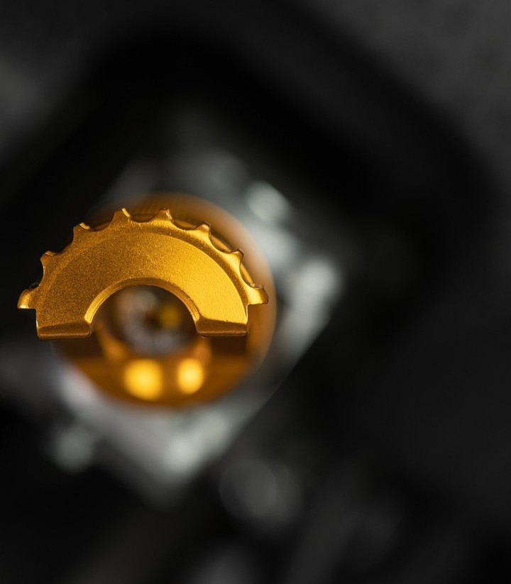 LighTech Footpegs Pair in Gold