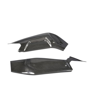 Achterbrugbescherming van carbon LighTech voor Aprilia RS 660 (20-25), Tuono 660 (20-25)