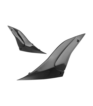 LighTech Carbon Under-Tank Side Panels for Aprilia RSV 4 1100 (21-25), Tuono V4 1000 (25), Tuono V4 1100 (21-25)