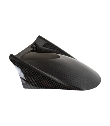 Parafango posteriore in carbonio LighTech per Aprilia RSV 4 1000 (09-20), RSV 4 1100 (19-20), Tuono V4 1000 (11-20)