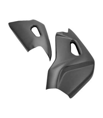LighTech Carbon Swingarm Guard for Aprilia RSV 4 1000 (09-14), Tuono V4 1000 (11-20)