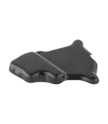 Pick-updeksel van carbon LighTech voor BMW S 1000 R (13-16), S 1000 RR (09-16)