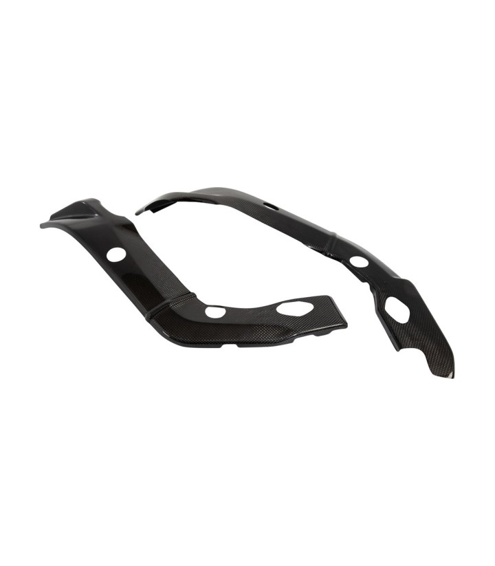 Framebescherming van carbon LighTech voor BMW S 1000 R (13-16), S 1000 RR (09-14)