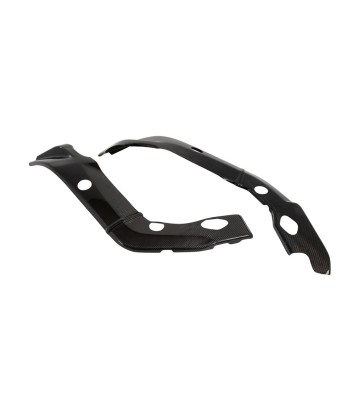 Protezione telaio in carbonio LighTech per BMW S 1000 R (13-16), S 1000 RR (09-14)