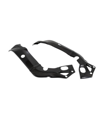 Framebescherming van carbon LighTech voor BMW S 1000 R (15-20), S 1000 RR (15-18)
