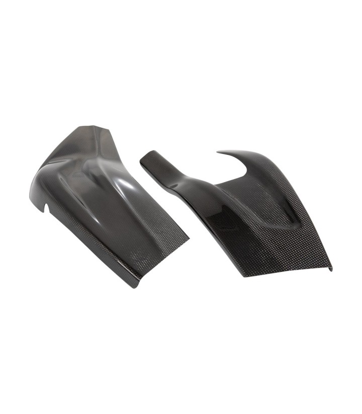 Protección de Basculante de Carbono LighTech para BMW S 1000 R (15-20), S 1000 RR (15-18)