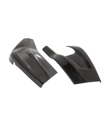 LighTech Carbon Swingarm Guard for BMW S 1000 R (15-20), S 1000 RR (15-18)
