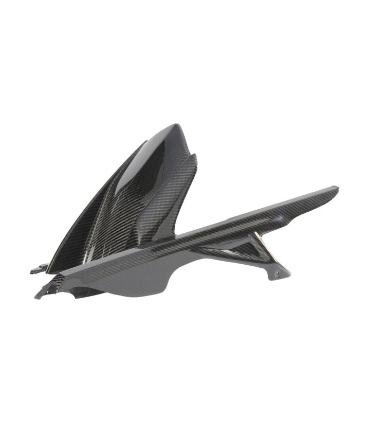 Achterspatbord van carbon LighTech voor BMW S 1000 R (21-24), S 1000 RR (19-25)