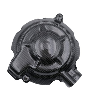 Dynamodeksel van carbon LighTech voor BMW S 1000 R (21-24), S 1000 RR (19-25)
