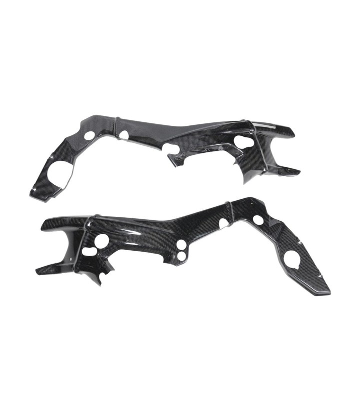 Protección de Chasis de Carbono LighTech para BMW S 1000 R (21-24), S 1000 RR (19-24)