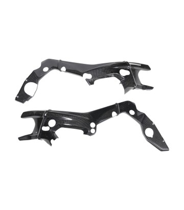 LighTech Carbon Frame Guard for BMW S 1000 R (21-24), S 1000 RR (19-24)