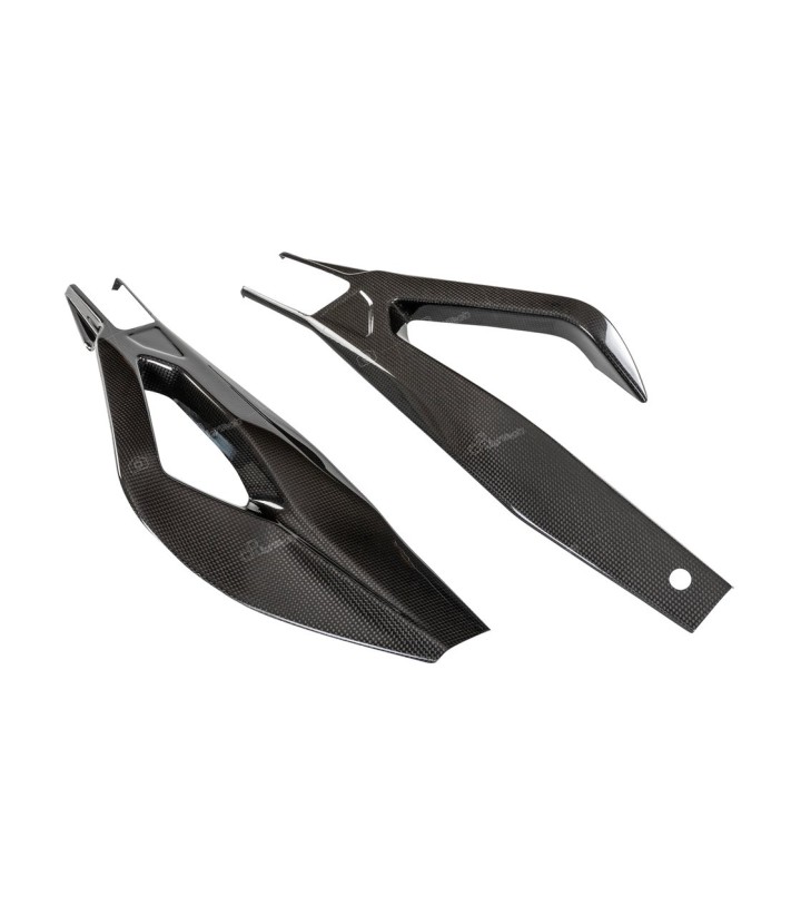 Achterbrugbescherming van carbon LighTech voor BMW S 1000 R (21-24), S 1000 RR (19-25)