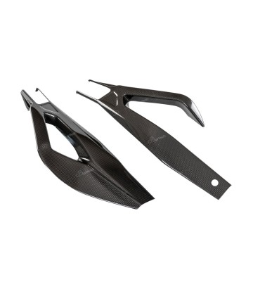 LighTech Carbon Swingarm Guard for BMW S 1000 R (21-24), S 1000 RR (19-25)