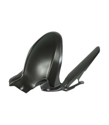 Parafango posteriore in carbonio LighTech per Ducati Multistrada 1200 V4 (21-24)
