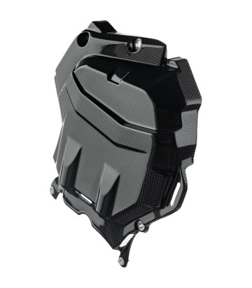 Cache-cylindre en carbone LighTech pour Ducati Multistrada 1200 V4 (21-24)