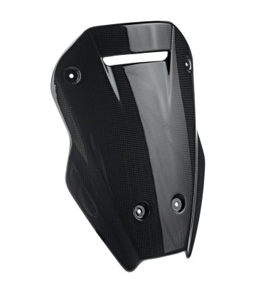 LighTech Carbon Windscreen Guard for Ducati Multistrada 1200 V4 (21-24)