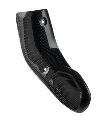 LighTech Carbon-Schutz für die Auspuffunterseite für Ducati Multistrada 1200 V4 (22-24)