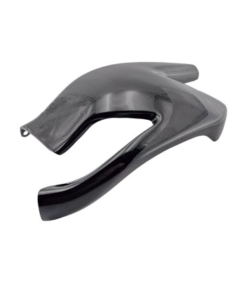 Par de proteções do braço oscilante de carbono LighTech para Ducati Hypermotard 950 (19-24)