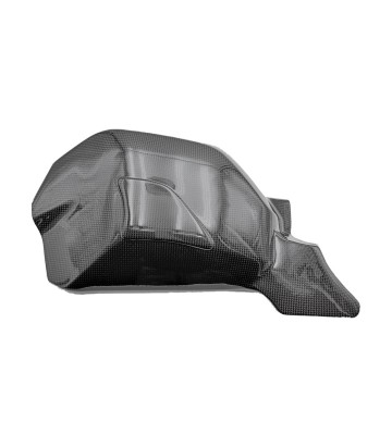 Proteção do braço oscilante de carbono LighTech para Ducati Streetfighter 1100 V4 (20-24)
