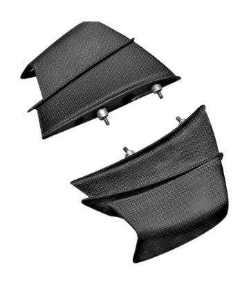 Defletor lateral de carbono LighTech para Ducati Panigale 1000 V4 R (19-20), Panigale 1100 V4 (22-23)