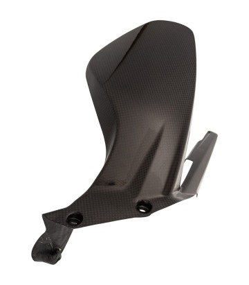 Guarda-lamas traseiro de carbono LighTech para several Ducati models