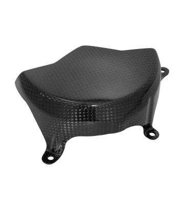 Tampa de alternador de carbono LighTech para several Ducati models