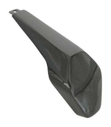 Cache de coque arrière en carbone LighTech pour Ducati Panigale 1100 V4 (18-23), Streetfighter 1100 V4 (20-24)