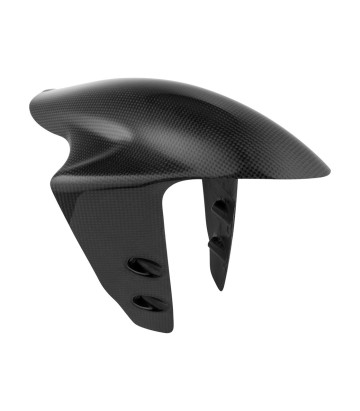 Parafango anteriore in carbonio LighTech per Ducati 1199/1299/899 Panigale (12-18)
