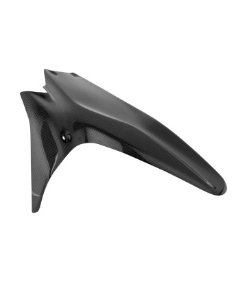 Achterspatbord van carbon LighTech voor Ducati 1199/1299 Panigale (12-18)