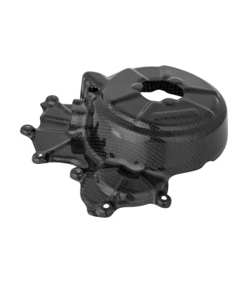 Coperchio alternatore in carbonio LighTech per Ducati 1199/1299/899 Panigale (12-18)