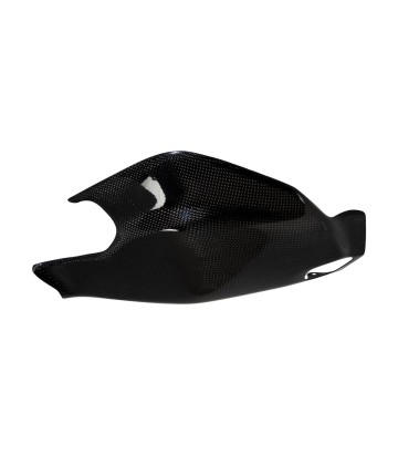 Protection de bras oscillant en carbone LighTech pour Ducati 1199/1299 Panigale (12-18)