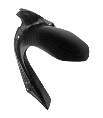 LighTech Carbon Rear Hugger for Ducati Monster 695 (08-14), Monster 696 (08)