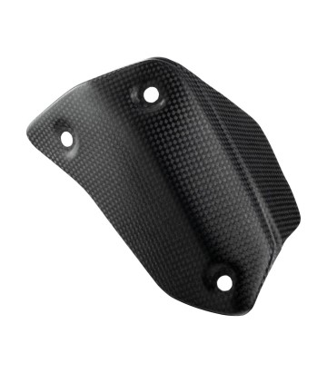 Proteção do silenciador de carbono LighTech para Ducati Hypermotard 821 (13-15), Hyperstrada 821 (13-15)