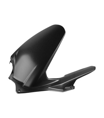 Achterspatbord van carbon LighTech voor Ducati Panigale 1000 V4 R (26), Panigale 1100 V4 (25-26)