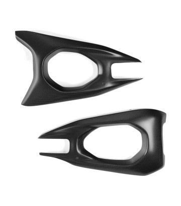Proteção do braço oscilante de carbono LighTech para Ducati Panigale 1100 V4 (25)