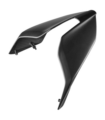 Uitlaatafdekking van carbon LighTech voor Ducati Panigale 1100 V4 (25)