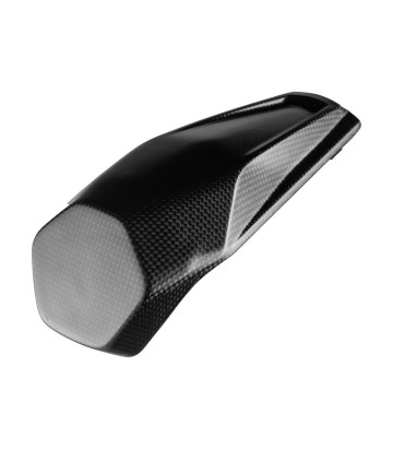 Achterkuipafdekking van carbon LighTech voor Ducati Panigale 1100 V4 (25)