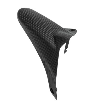 Garde-boue arrière en carbone LighTech pour Ducati Monster 1200 (14-20), Monster 696 (09-14)