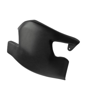 Protection de bras oscillant en carbone LighTech pour Ducati Streetfighter 1100/848 (11-16)
